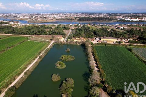 Byhus i Ilhavo, Aveiro, Ilhavo - € 25.000.000 | Ref: 81428 - foto 21