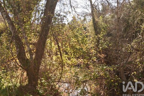 Terra a Ourem, Santarem, Ourem - € 8.900 | Ref: 135066 - foto 2