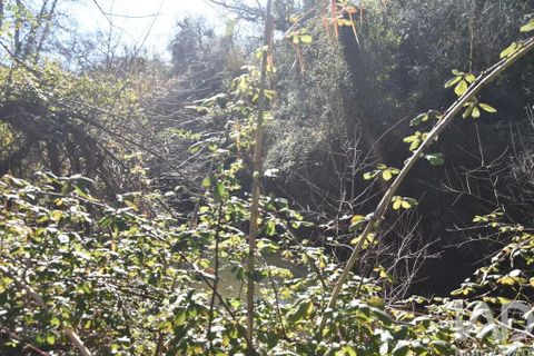 Terra a Ourem, Santarem, Ourem - € 8.900 | Ref: 135066 - foto 4