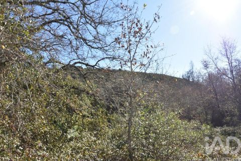 Terra a Ourem, Santarem, Ourem - € 8.900 | Ref: 135066 - foto 5