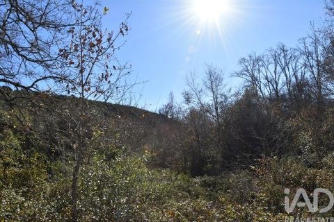 Terra a Ourem, Santarem, Ourem - € 8.900 | Ref: 135066 - foto 6