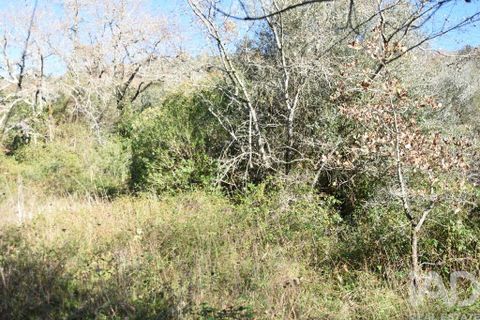 Terra a Ourem, Santarem, Ourem - € 8.900 | Ref: 135066 - foto 7
