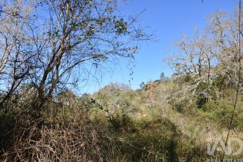 Terra a Ourem, Santarem, Ourem - € 8.900 | Ref: 135066 - foto 8