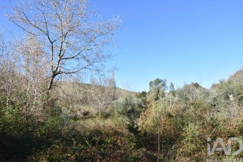 Terra a Ourem, Santarem, Ourem - € 8.900 | Ref: 135066 - foto 9