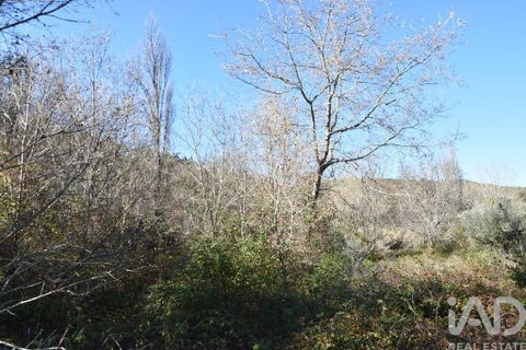 Terra a Ourem, Santarem, Ourem - € 8.900 | Ref: 135066 - foto 10