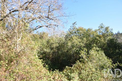 Terra a Ourem, Santarem, Ourem - € 8.900 | Ref: 135066 - foto 12