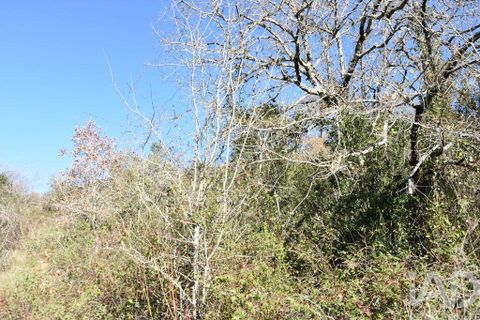 Terra a Ourem, Santarem, Ourem - € 8.900 | Ref: 135066 - foto 13