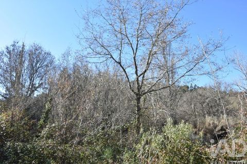 Terra a Ourem, Santarem, Ourem - € 8.900 | Ref: 135066 - foto 14