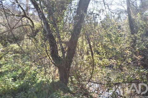 Terra a Ourem, Santarem, Ourem - € 8.900 | Ref: 135066 - foto 15