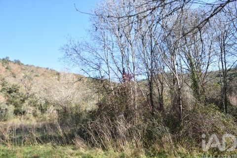 Terra a Ourem, Santarem, Ourem - € 8.900 | Ref: 135066 - foto 17
