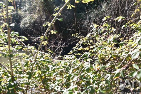 Terra a Ourem, Santarem, Ourem - € 8.900 | Ref: 135066 - foto 19