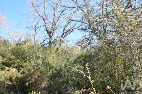 Terra a Ourem, Santarem, Ourem - € 8.900 | Ref: 135066 - foto 21