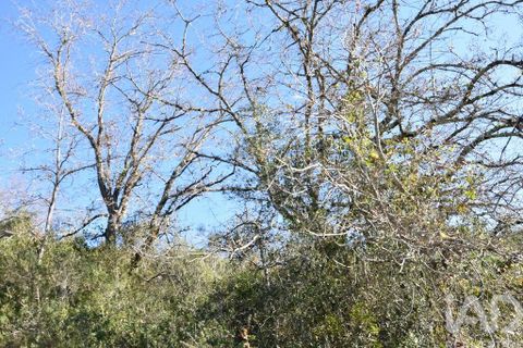 Terra a Ourem, Santarem, Ourem - € 8.900 | Ref: 135066 - foto 22