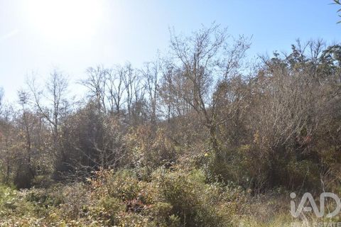 Terra a Ourem, Santarem, Ourem - € 8.900 | Ref: 135066 - foto 23