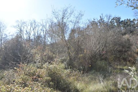 Terra a Ourem, Santarem, Ourem - € 8.900 | Ref: 135066 - foto 24
