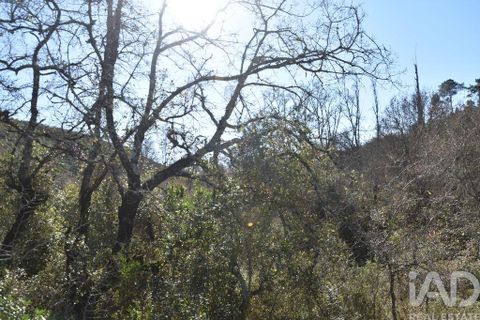 Terra a Ourem, Santarem, Ourem - € 8.900 | Ref: 135066 - foto 26