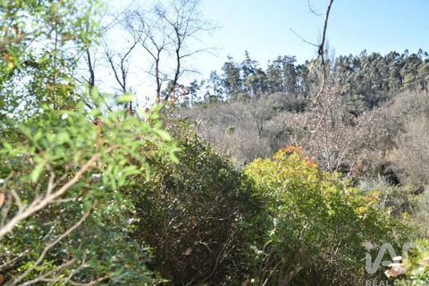 Terra a Ourem, Santarem, Ourem - € 8.900 | Ref: 135066 - foto 27