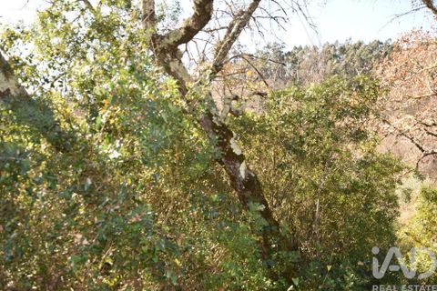 Terra a Ourem, Santarem, Ourem - € 8.900 | Ref: 135066 - foto 28