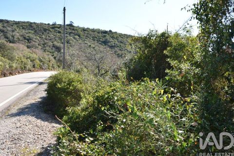 Terra a Ourem, Santarem, Ourem - € 8.900 | Ref: 135066 - foto 29