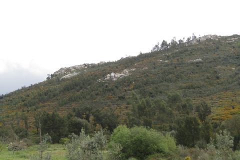 Ruinere i Macao, Santarem, Macao - € 39.000 | Ref: P24-219 - foto 8