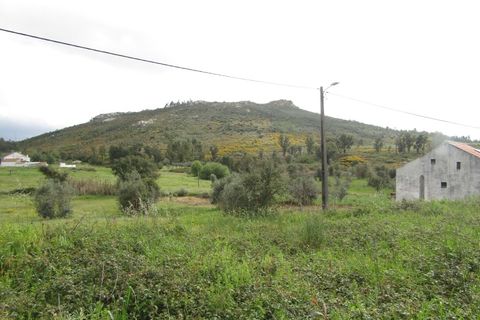 Ruinere i Macao, Santarem, Macao - € 39.000 | Ref: P24-219 - foto 9