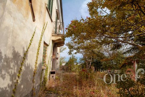 Byhus i Lajatico, Pisa, Lajatico - € 195.000 | Ref: 17476-1 - foto 11