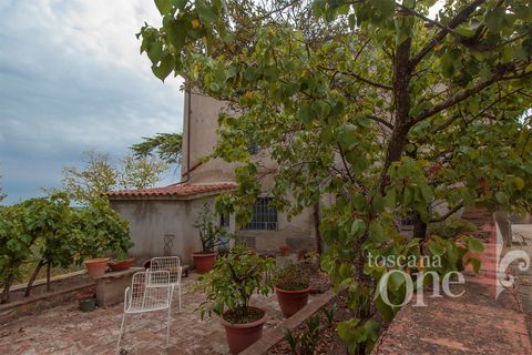 Byhus i Lajatico, Pisa, Lajatico - € 195.000 | Ref: 17476-1 - foto 14