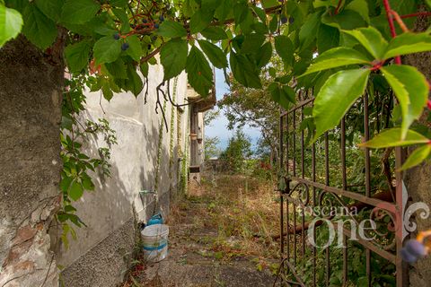 Byhus i Lajatico, Pisa, Lajatico - € 195.000 | Ref: 17476-1 - foto 15