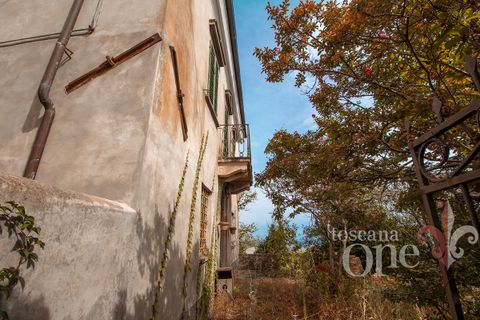 Byhus i Lajatico, Pisa, Lajatico - € 195.000 | Ref: 17476-1 - foto 16
