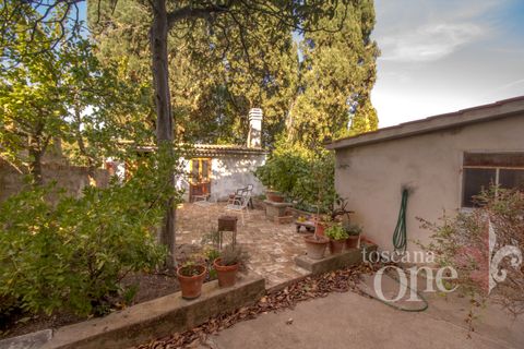Byhus i Lajatico, Pisa, Lajatico - € 195.000 | Ref: 17476-1 - foto 19