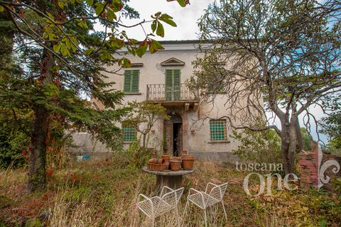 Byhus i Lajatico, Pisa, Lajatico - € 195.000 | Ref: 17476-1 - foto 20