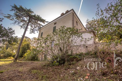 Byhus i Lajatico, Pisa, Lajatico - € 195.000 | Ref: 17476-1 - foto 21