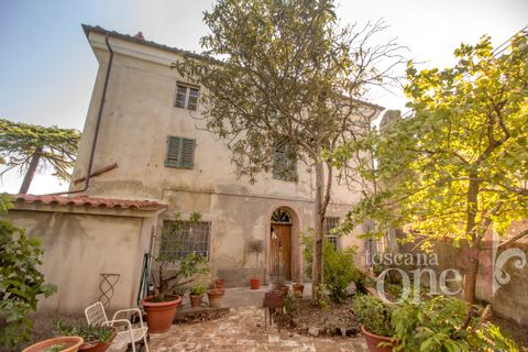 Byhus i Lajatico, Pisa, Lajatico - € 195.000 | Ref: 17476-1 - foto 22