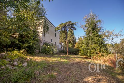 Byhus i Lajatico, Pisa, Lajatico - € 195.000 | Ref: 17476-1 - foto 23