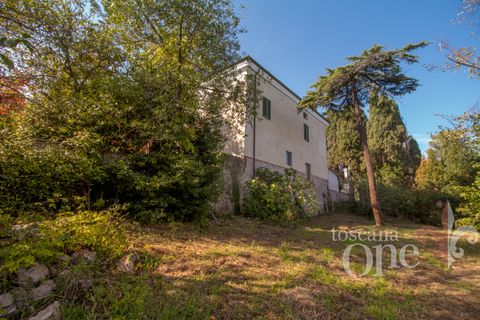 Byhus i Lajatico, Pisa, Lajatico - € 195.000 | Ref: 17476-1 - foto 24