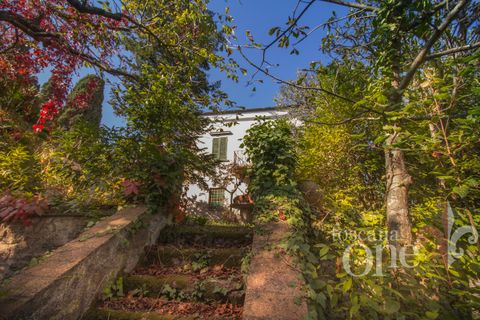 Byhus i Lajatico, Pisa, Lajatico - € 195.000 | Ref: 17476-1 - foto 25