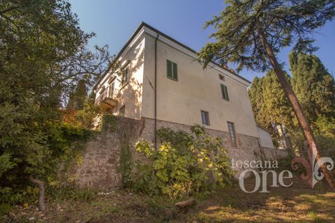 Byhus i Lajatico, Pisa, Lajatico - € 195.000 | Ref: 17476-1 - foto 26