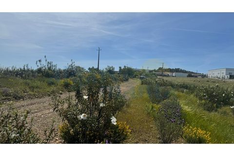 Grond in Odeleite, Faro, Odeleite - € 64.000 | Ref: 3408 - foto 6