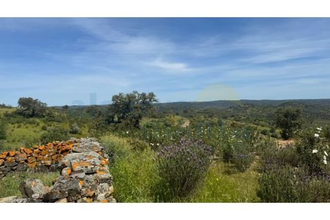 Grond in Odeleite, Faro, Odeleite - € 64.000 | Ref: 3408 - foto 7