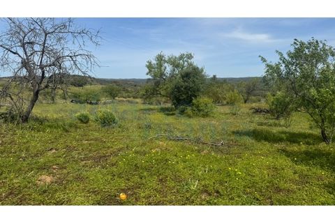 Grond in Odeleite, Faro, Odeleite - € 64.000 | Ref: 3408 - foto 12