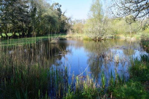 Villa a Langoelan, Morbihan, Langoelan - € 184.500 | Ref: 560022361 - foto 4
