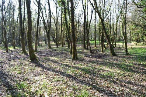 Villa a Langoelan, Morbihan, Langoelan - € 184.500 | Ref: 560022361 - foto 26