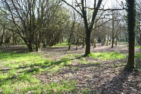 Villa a Langoelan, Morbihan, Langoelan - € 184.500 | Ref: 560022361 - foto 27