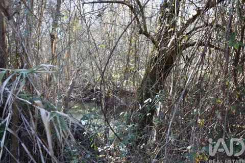 Terra a Ourem, Santarem, Ourem - € 8.400 | Ref: 135068 - foto 2
