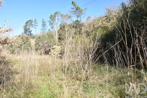 Terra a Ourem, Santarem, Ourem - € 8.400 | Ref: 135068 - foto 6