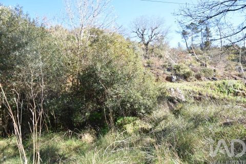 Terra a Ourem, Santarem, Ourem - € 8.400 | Ref: 135068 - foto 7