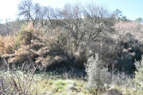 Terra a Ourem, Santarem, Ourem - € 8.400 | Ref: 135068 - foto 10