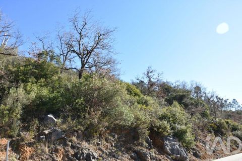 Terra a Ourem, Santarem, Ourem - € 8.400 | Ref: 135068 - foto 11