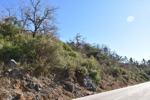 Terra a Ourem, Santarem, Ourem - € 8.400 | Ref: 135068 - foto 12