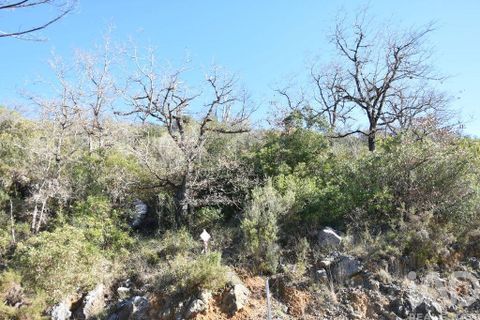 Terra a Ourem, Santarem, Ourem - € 8.400 | Ref: 135068 - foto 13